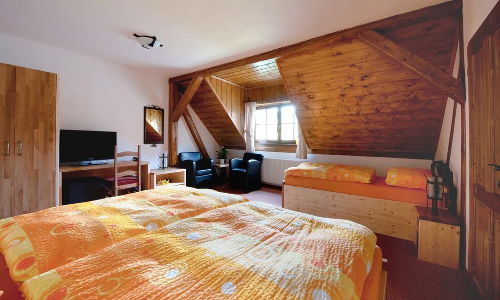 Wellness Hotel Holzberg Sucha Rudna Quarto foto
