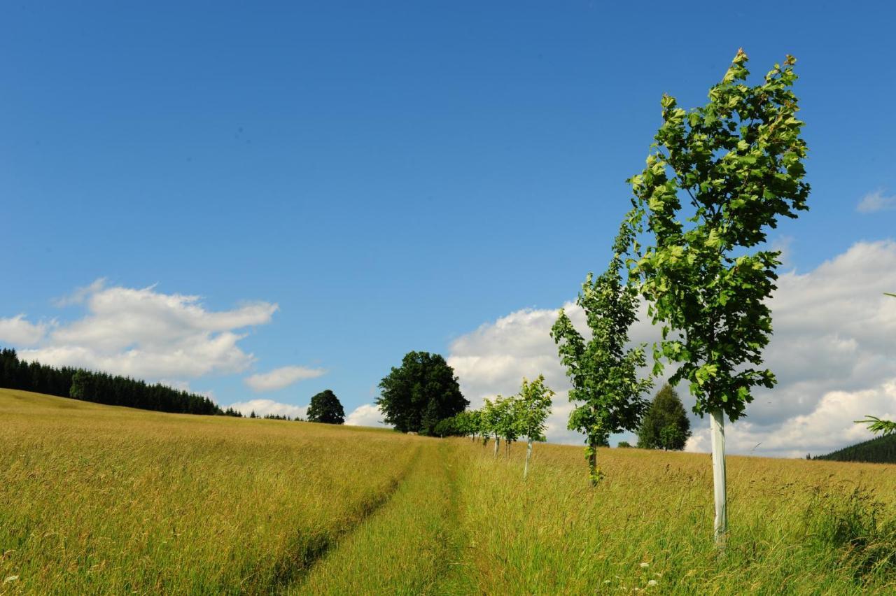Wellness Hotel Holzberg Sucha Rudna Exterior foto